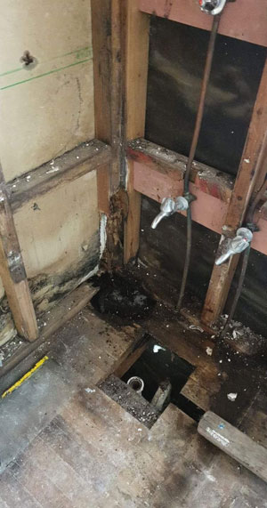 image-showing-rot-under-shower-of-a-house-in-auckland-being-renovated-by-MMA-Home-Maintenance